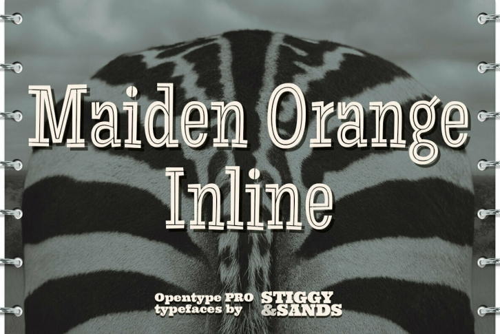 Maiden Orange Inline Pro Font Download