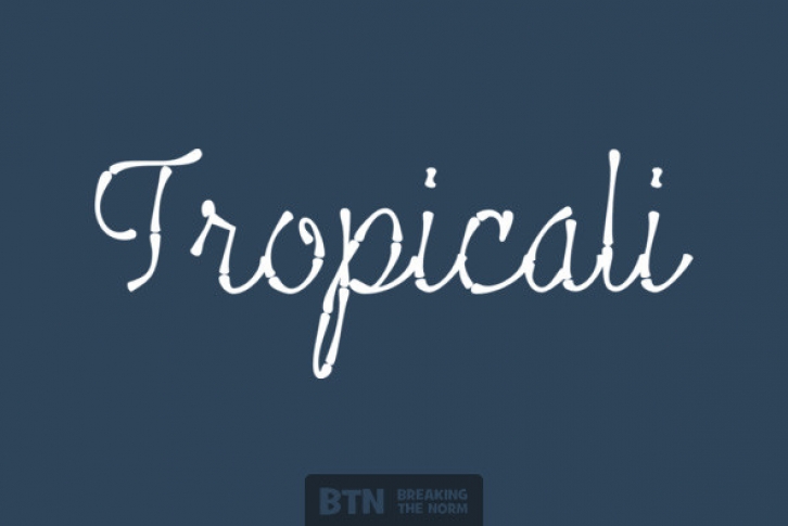 Tropicali Script Font Download