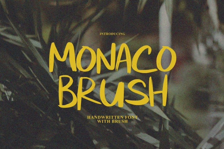 Monaco - Handwritten Brush Font Download