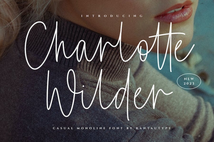 Charlotte Wilder Casual Monoline Font Font Download