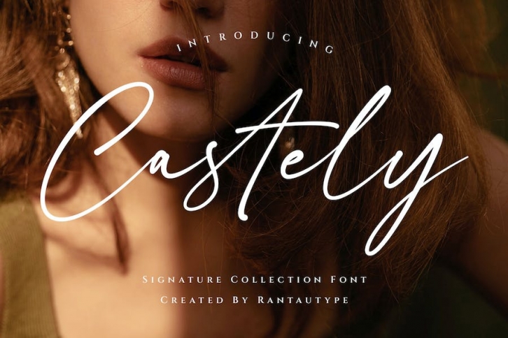 Castely Signature Business Font Font Download