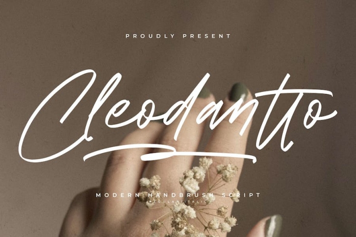 Cleodantto Modern Handbrush Script Font Download