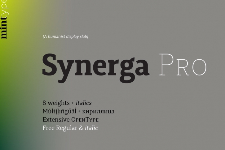 Synerga Pro Font Download