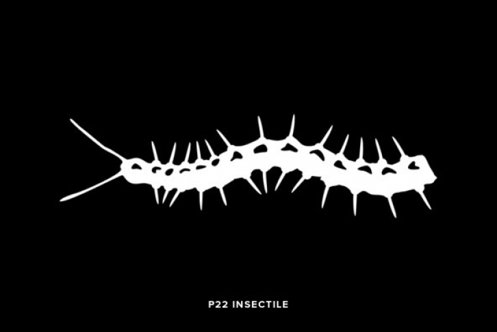 P22 Insectile Font Download