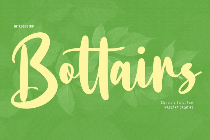 Bottairs Font Download