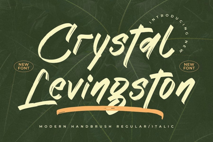 Crystal Levingston Modern Handbrush Font Download