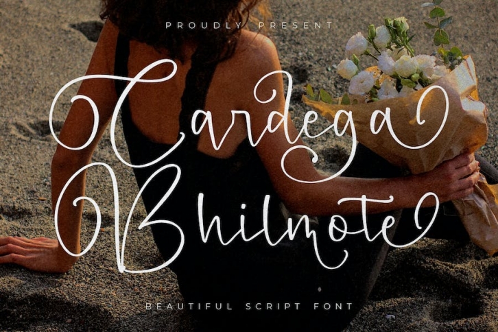 Cardega Bhilmote Script Font Font Download