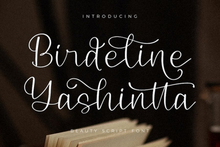 Birdelian Yashintta Script Font Font Download