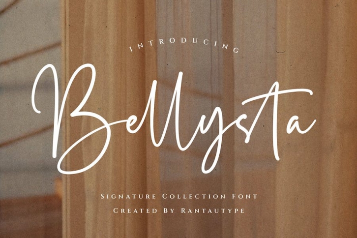 Bellysta Business Signature Font Font Download