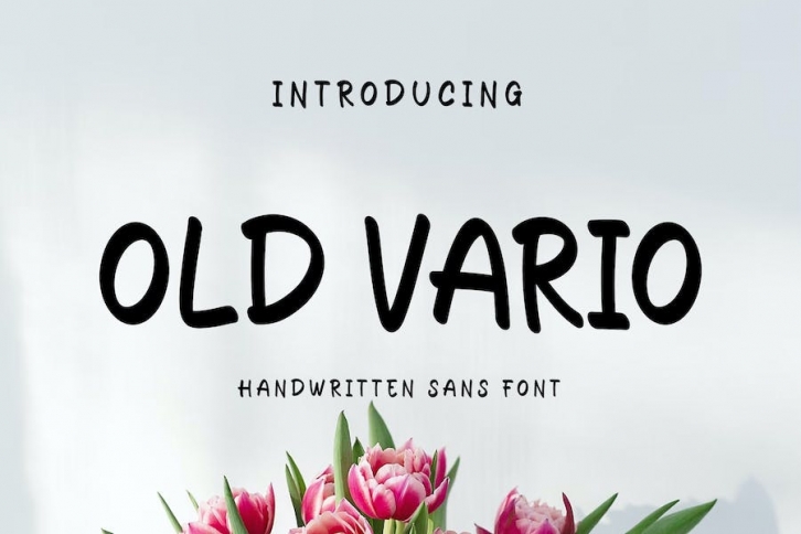 Old Vario Sans Handwritten Font Font Download