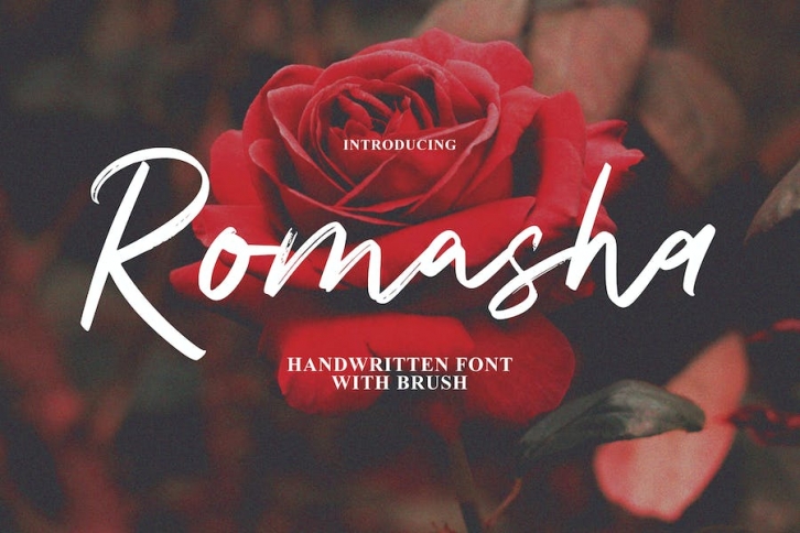 Romasha - Casual Signature Brush Font Download