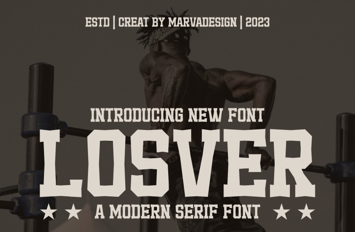 Losver Font Download