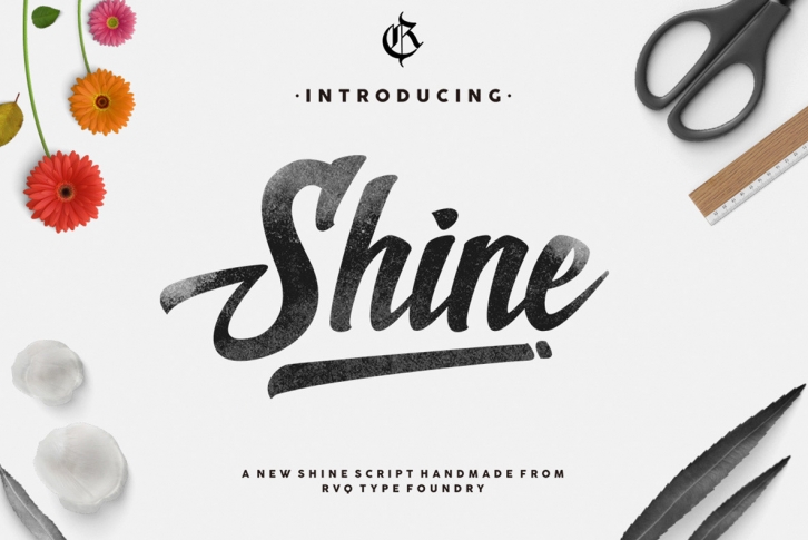 New Shine Script Font Download