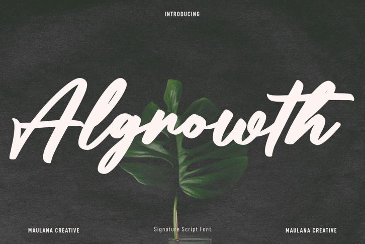 Algrowth Font Download