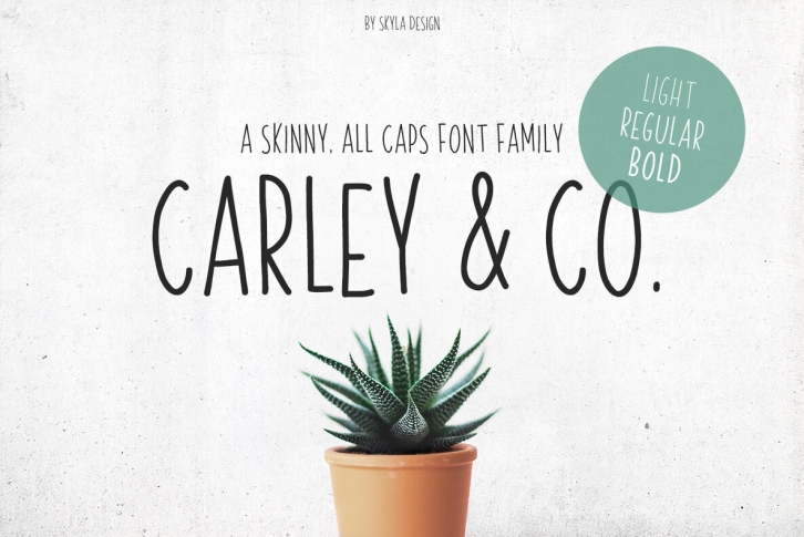 Carley  Co Font Download