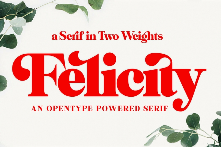 Felicity Font Download