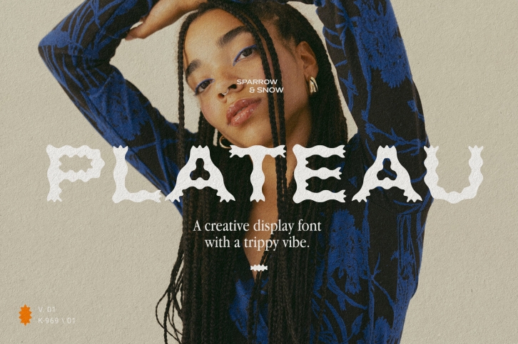 Plateau Font Download