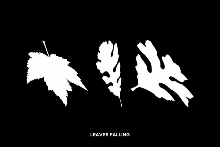 Leaves Falling Font Download