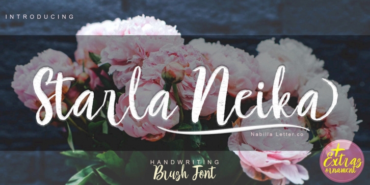 Starla Neika Font Download