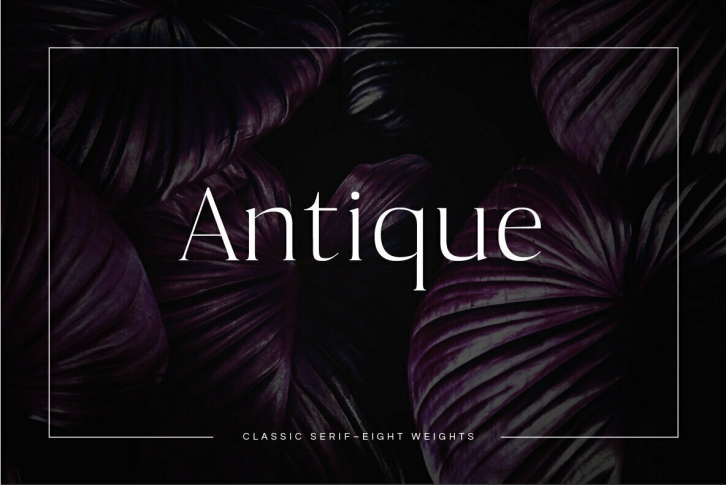 Antique Font Download