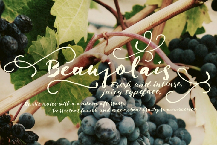 Beaujolais Font Download