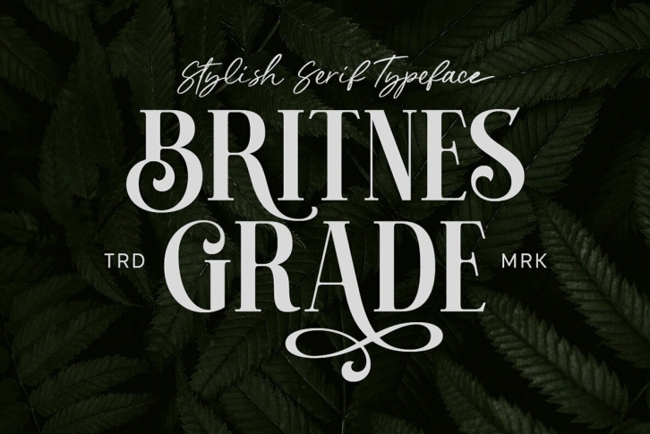 Britnes Grade Font Download