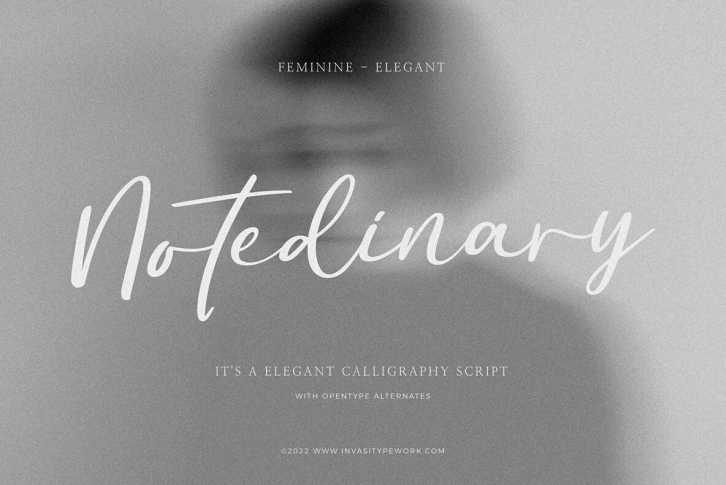 Notedinary Font Download