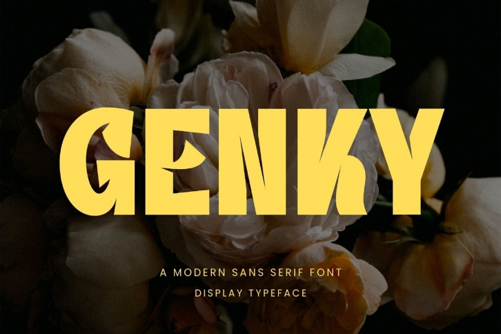 Genky Font Download