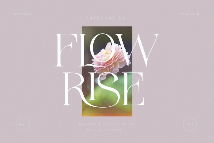 FLOWRISE Font Download