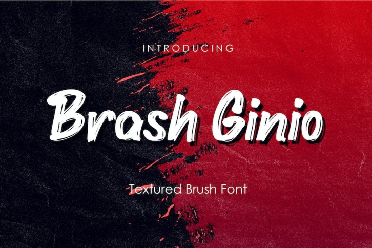 Brash Ginio - Textured Brush Font Font Download