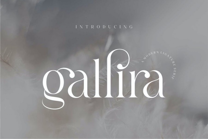 Gallira Font Download