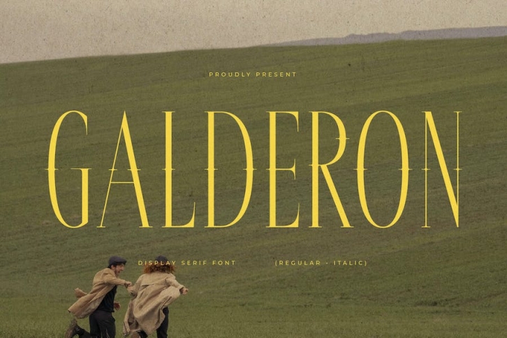 Galderon Display Serif Font Font Download