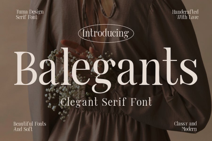 Balegants A Elegant Serif Font Font Download