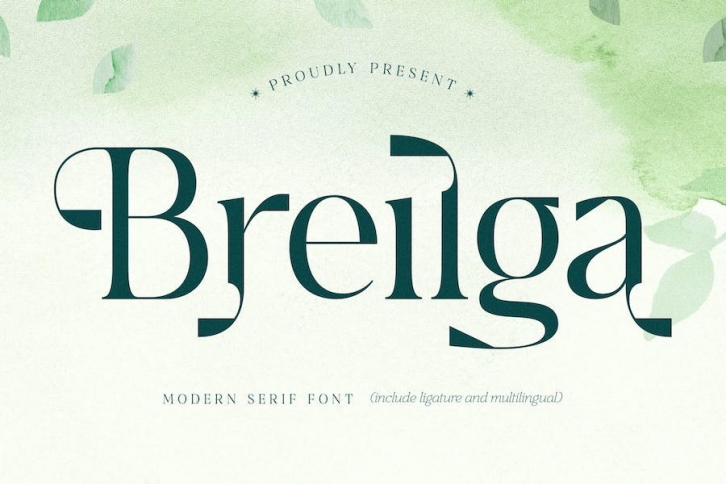 Breilga Modern Serif Font Font Download