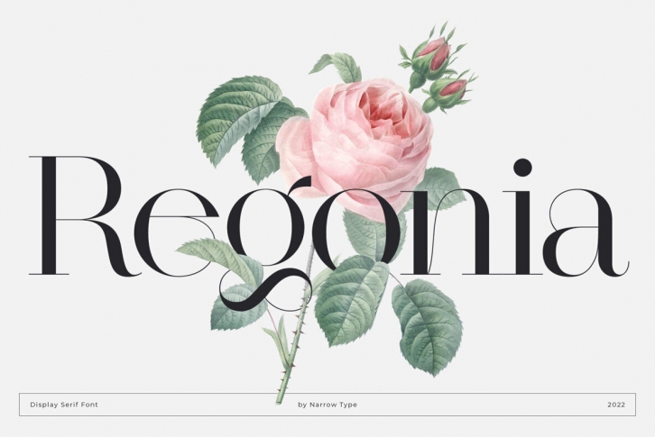 Regonia Font Download