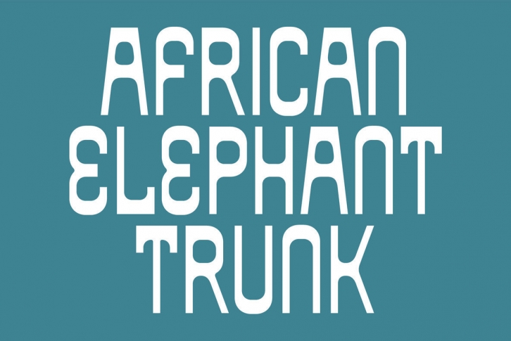 African Elephant Trunk Font Download