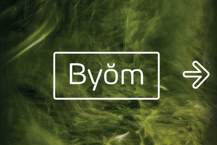 Byom Font Download