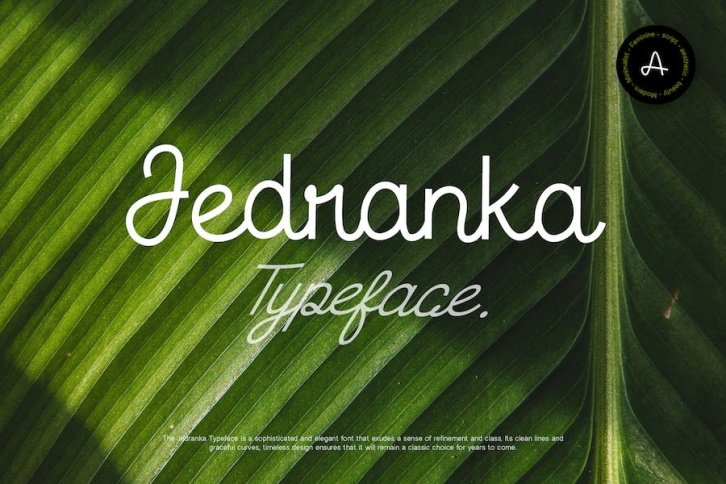 Jedranka Typeface Font Download