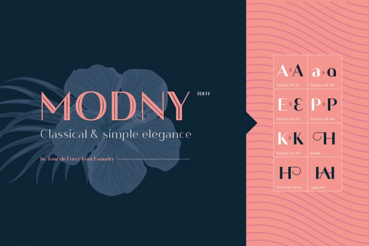 Modny Font Download