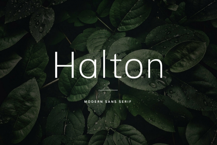 Halton Font Download