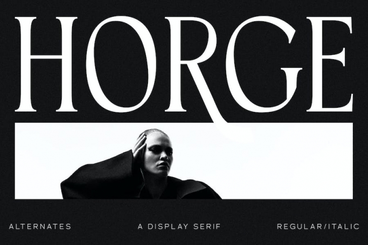 Horge A Display Serif Font Font Download