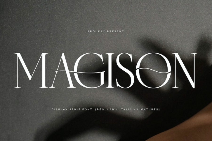 Magison Display Serif Font Font Download