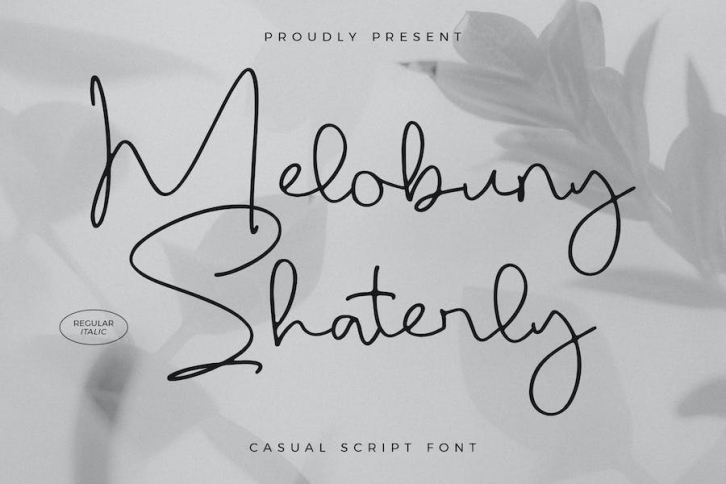 Melobuny Shaterly Casual Script Font Font Download