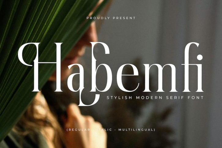 Habemfi Stulish Modern Serif Font Font Download