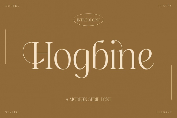 Hogbine A Modern Serif Font Font Download