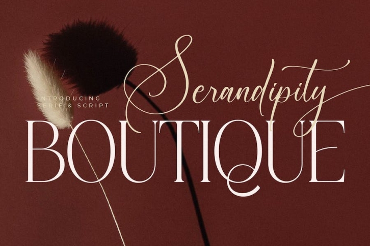 Serandipity Boutique Font Duo Font Download