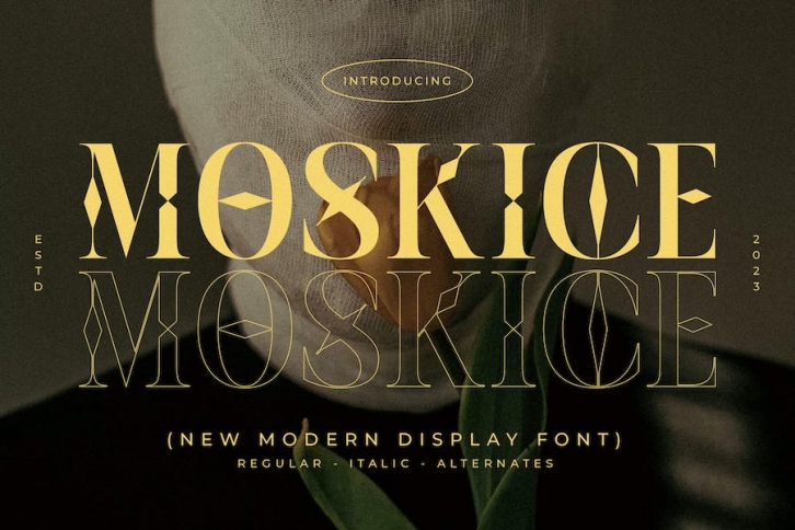 Moskice New Modern Display Font Font Download