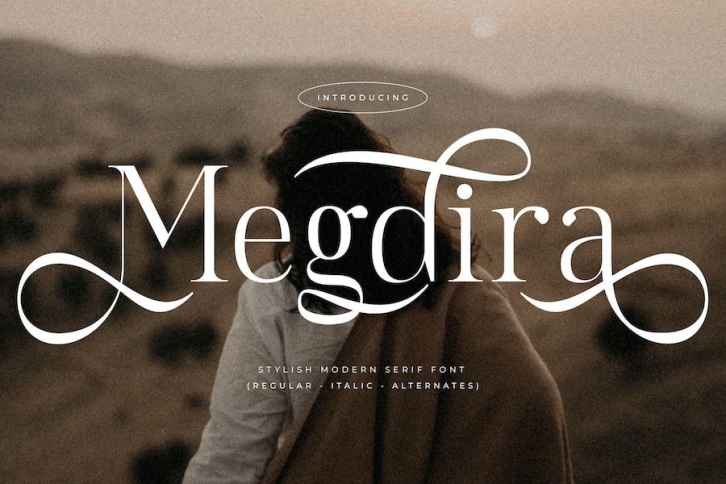 Megdira Stylish Modern Serif Font Font Download