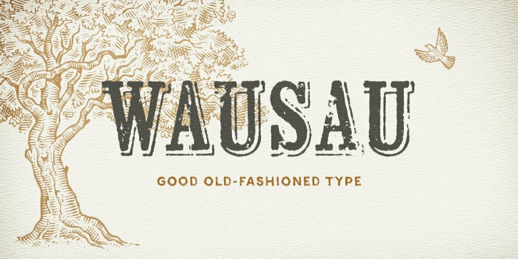 Wausau Font Download