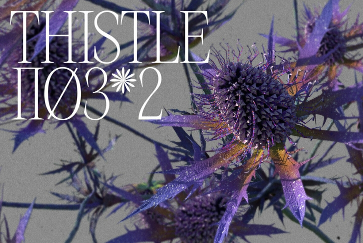 Thistle Font Download